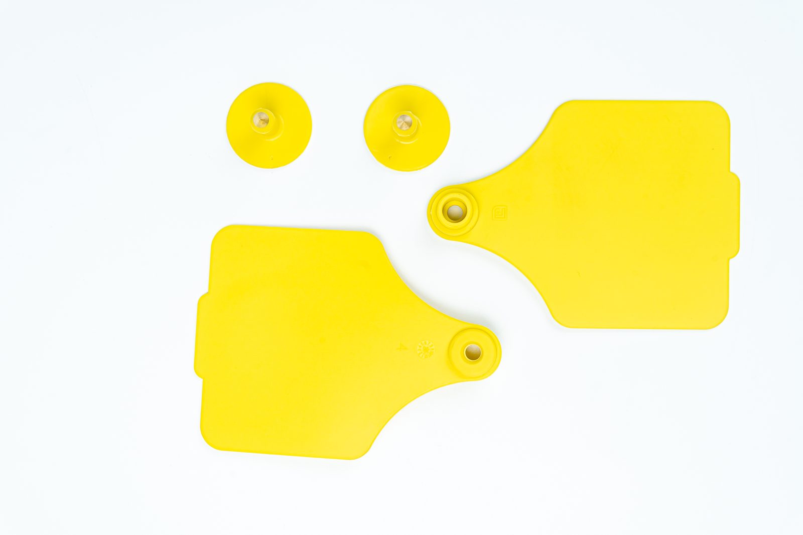 Visual Livestock Ear Tags