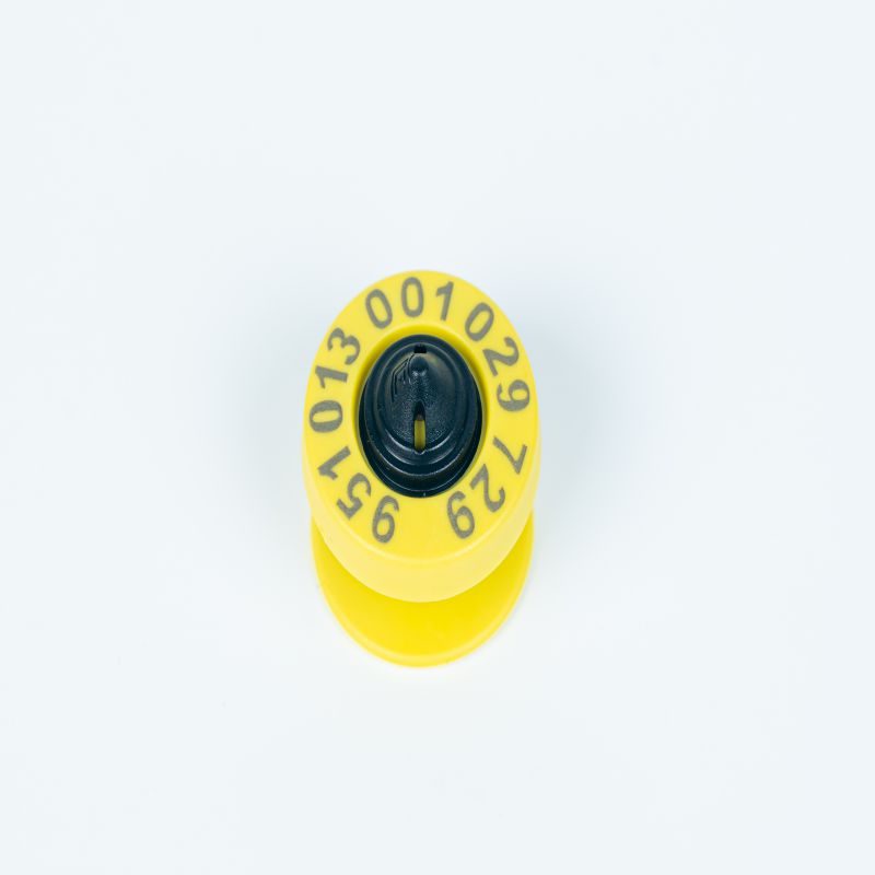 Electronic RFID Ear Tags