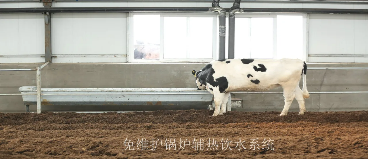 Water Trough Sprinkler